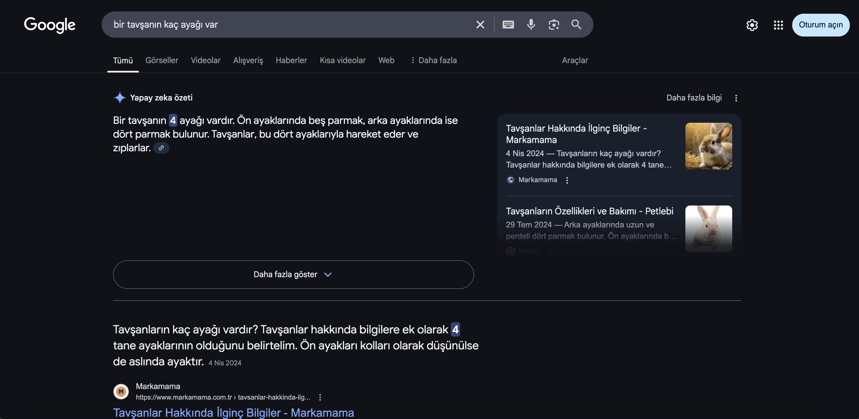Google AI Présentation de la Turquie