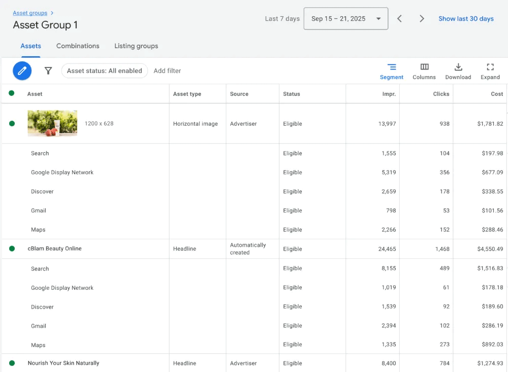 Segment Google PMAX